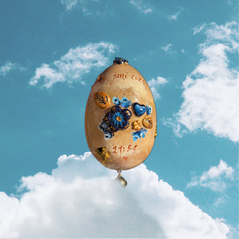Birth Egg | Swan |